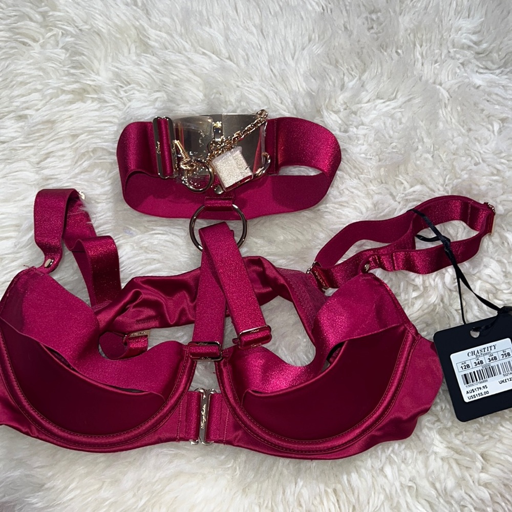 Honey Birdette chastity passion bra 34B NWT
